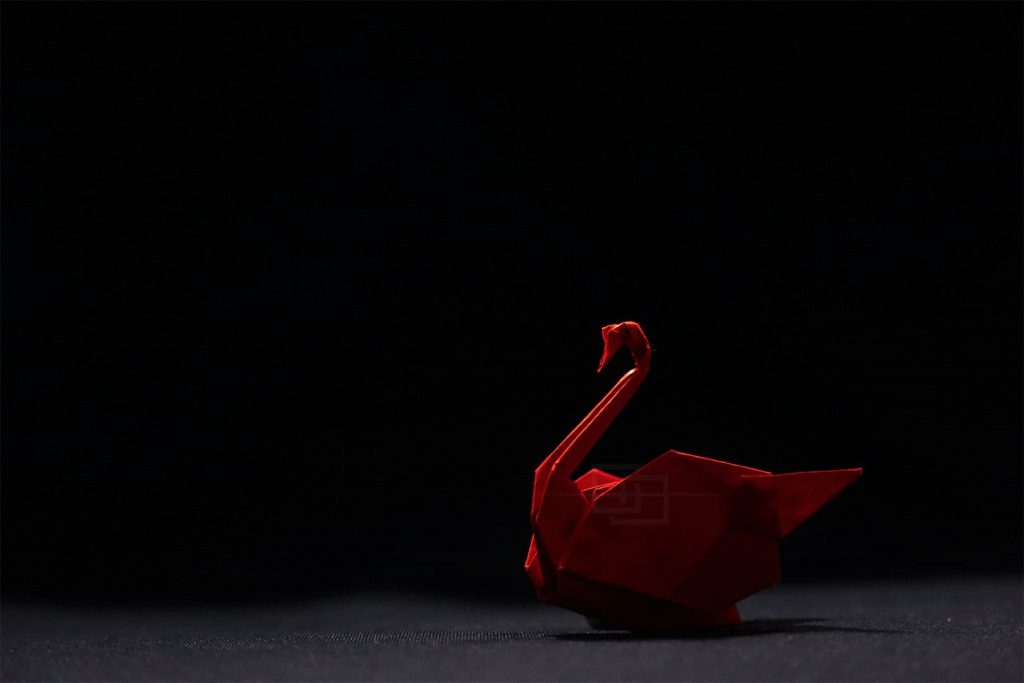 Origami Swan by Himanshu Mumbai, India orukami